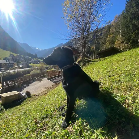 Apartamento Klenkes - Entschleunigen Und Erholen