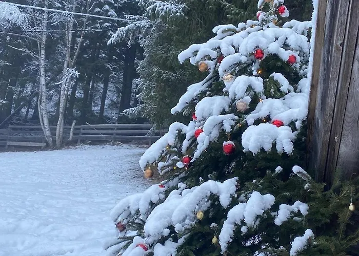 Klenkes - Entschleunigen Und Erholen Lägenhet *