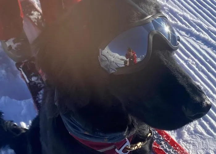 Klenkes - Entschleunigen Und Erholen