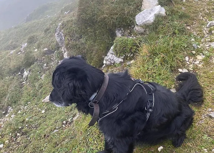 Lägenhet Klenkes - Entschleunigen Und Erholen Neustift im Stubaital