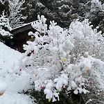 Apartamento Klenkes - Entschleunigen Und Erholen Neustift im Stubaital