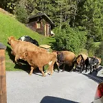 Klenkes - Entschleunigen Und Erholen Neustift im Stubaital