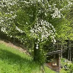 Klenkes - Entschleunigen Und Erholen Apartamento *