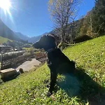 Apartamento Klenkes - Entschleunigen Und Erholen