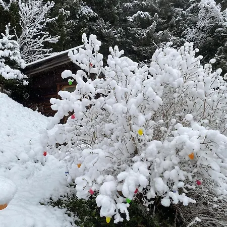 Apartman Klenkes - Entschleunigen Und Erholen Neustift im Stubaital
