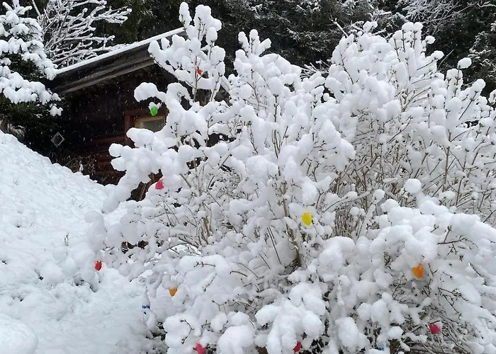 Appartamento Klenkes - Entschleunigen Und Erholen Neustift im Stubaital