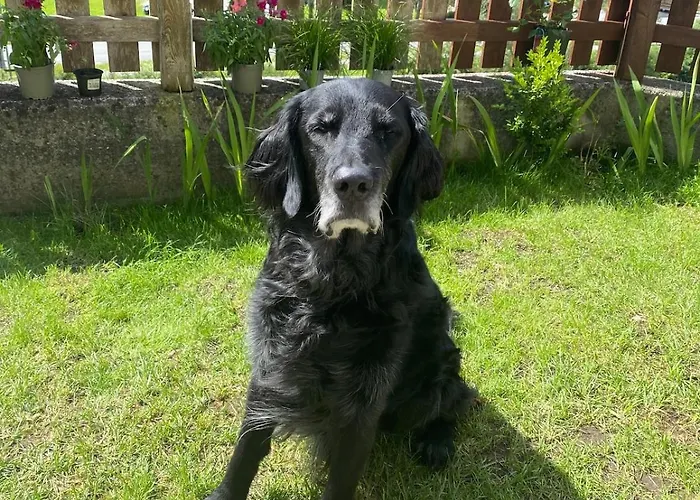 Klenkes - Entschleunigen Und Erholen *