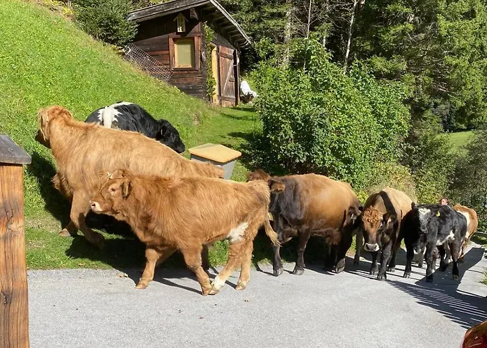 Klenkes - Entschleunigen Und Erholen Neustift im Stubaital