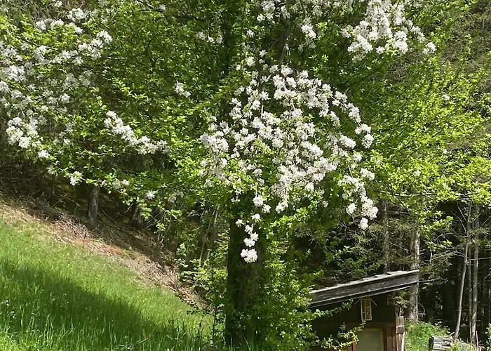 Klenkes - Entschleunigen Und Erholen Appartamento *